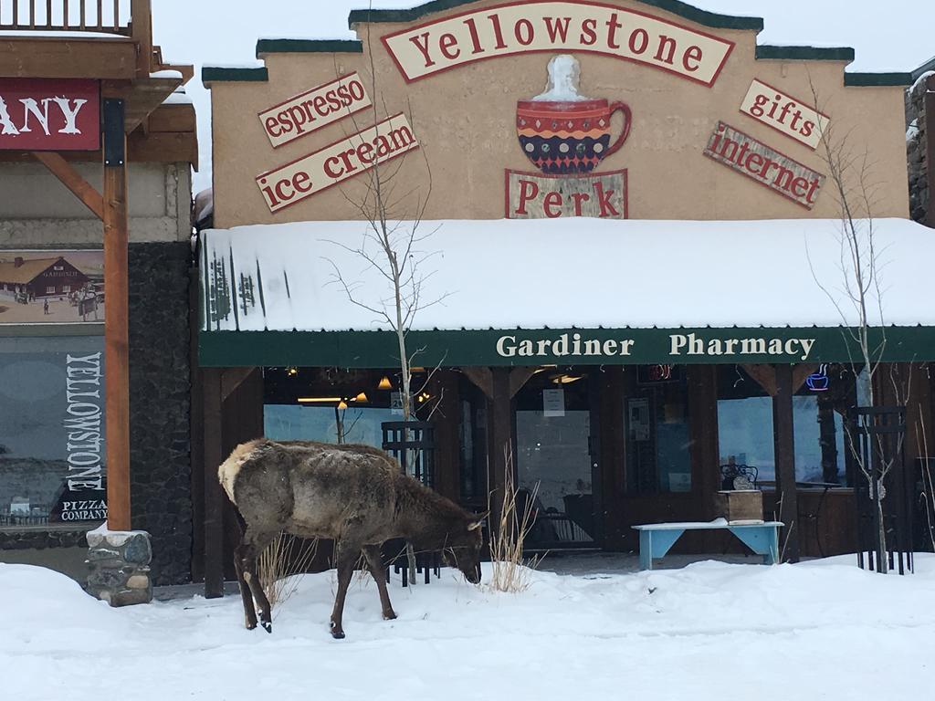 Park Hotel Yellowstone Suites Gardiner Kültér fotó